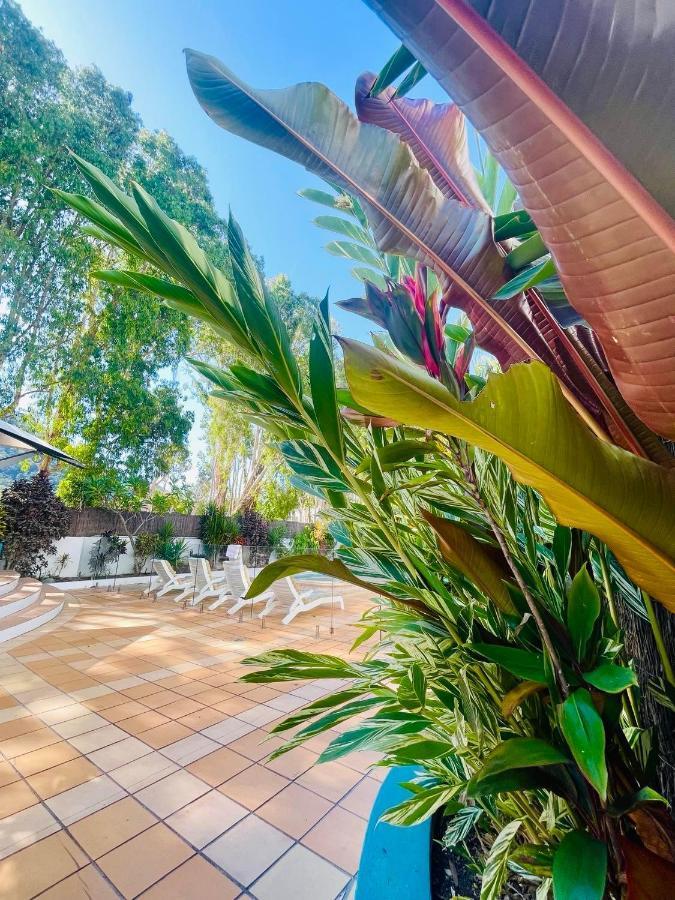 Beachview Apartments At Villa Paradiso Palm Cove Kültér fotó